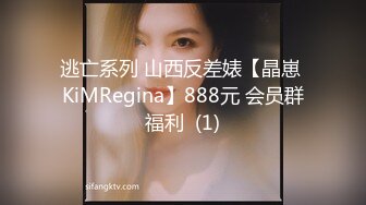 逃亡系列 山西反差婊【晶崽 KiMRegina】888元 会员群福利  (1)