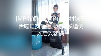 [MP4]颜值不错肉肉身材妹子 舌吻口交近距离特写摸逼侧入后入猛操