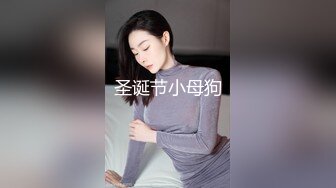 圣诞节小母狗