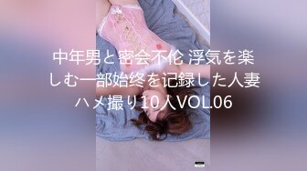 中年男と密会不伦 浮気を楽しむ一部始终を记録した人妻ハメ撮り10人VOL.06