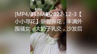 [MP4/318MB]2022-12-3【小小寻花】新晋探花，丰满外围骚女，大奶子乳交，沙发后入