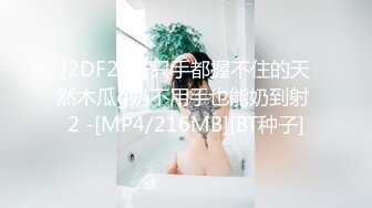 [2DF2] 一只手都握不住的天然木瓜g奶不用手也能奶到射 2 -[MP4/216MB][BT种子]