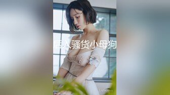 后入骚货小母狗