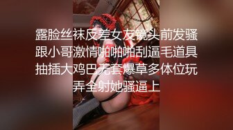 无影军师绝对玩弄【先导篇】