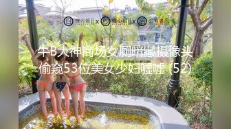 牛B大神商场女厕暗藏摄像头偷窥53位美女少妇嘘嘘 (52)