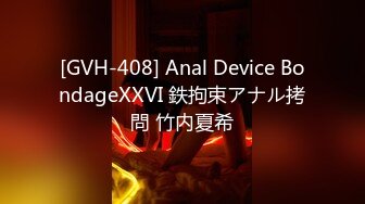 [GVH-408] Anal Device BondageXXVI 鉄拘束アナル拷問 竹内夏希