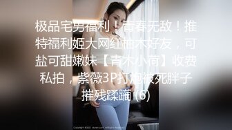 极品宅男福利！青春无敌！推特福利姬大网红柚木好友，可盐可甜嫩妹【青木小荷】收费私拍，紫薇3P打炮被死胖子摧残蹂躏 (6)