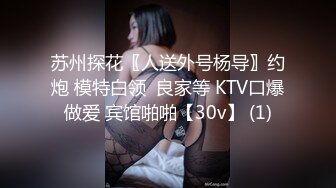 苏州探花〖人送外号杨导〗约炮 模特白领  良家等 KTV口爆做爱 宾馆啪啪【30v】 (1)