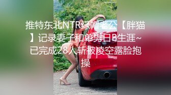 推特东北NTR绿帽老公【胖猫】记录妻子和单男日B生涯~已完成28人斩被凌空露脸抱操