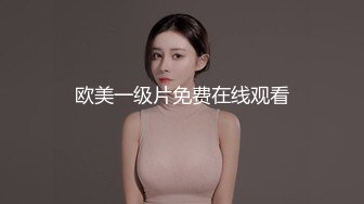 欧美一级片免费在线观看