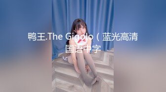 鸭王.The Gigolo（蓝光高清国语中字